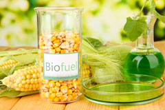 Penbontrhydyfothau biofuel availability