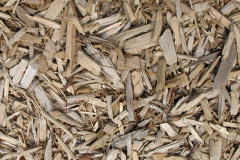 biomass boilers Penbontrhydyfothau